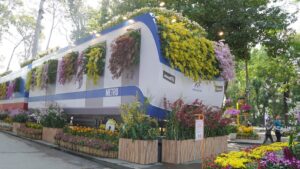    Festival Hoa Lan
