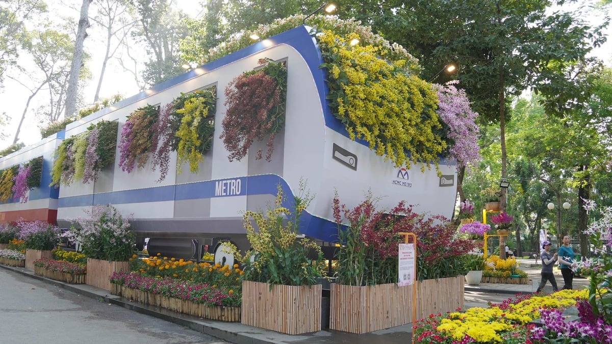 hoa lan