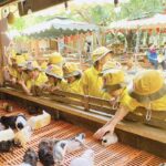 cà phê vườn thú