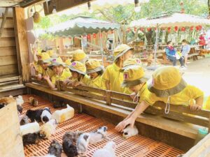 cà phê vườn thú