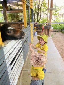 cà phê vườn thú