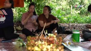 vườn trái cây xã trung an