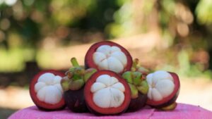 vườn trái cây xã trung an