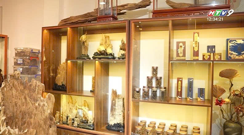 dó bầu