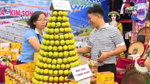 hội chợ thương mại