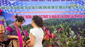 hội chợ thương mại